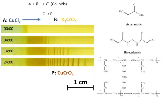 Figure 5: (Left) In our system, outer electrolyte, A, is 1 M copper(II) chloride, and 0.01  M  potassium  chromate  is  the  inner  electrolyte