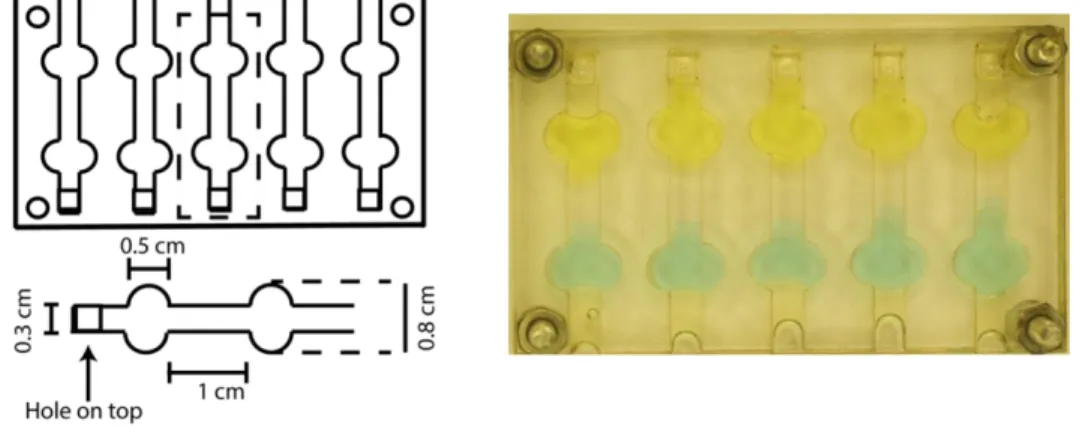 Figure 9: (Left) The dimensions of the mold to prepare a 1 cm x 0.3 x 0.2 cm PAM gel  column is shown