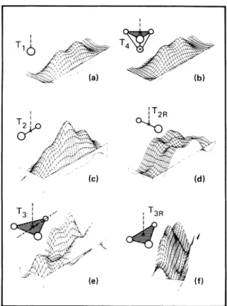 FIG. 2. The surface plots of the force on various tips above the Si(001)-(2X 1) surface, without surface relaxation: (a) T~,