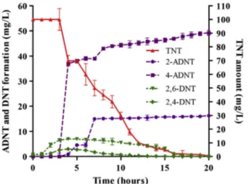 Fig. 2. 2-ADNT and 4-ADNT formation rates of STE 11. The formation of 2,4-DNT and 2,6-DNT were observed over the ﬁrst 5 h then, the 2-ADNT and 4-ADNT concentrations increased exponentially between 4 and 20 h.