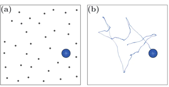 Figure 1.   Stochastic motion from deterministic simulations. (a) A  microscopic particle (large circle) immersed in a fluid continuously  undergoes collisions with the fluid molecules (dots)