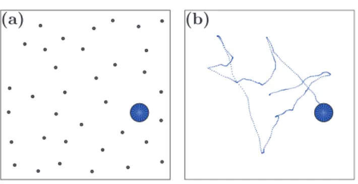Figure 1.   Stochastic motion from deterministic simulations. (a) A  microscopic particle (large circle) immersed in a fluid continuously  undergoes collisions with the fluid molecules (dots)