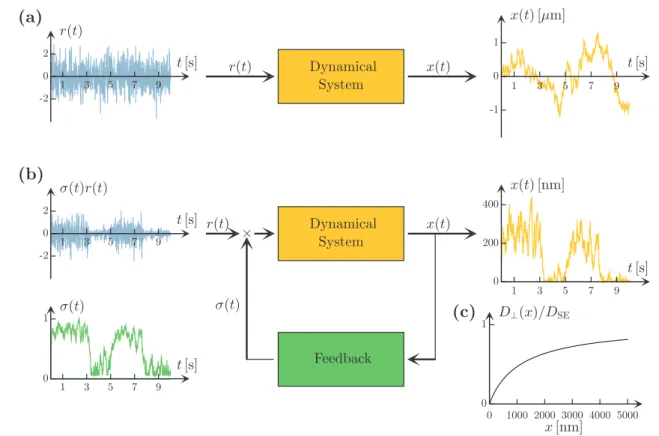 Figure 2.   Stochastic dynamical system without and with feedback. (a) A schematic representation of a stochastic dynamical system: 