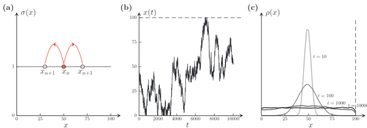 Figure 3.   Evolution of the random walker without multiplicative noise described by SDE (5)