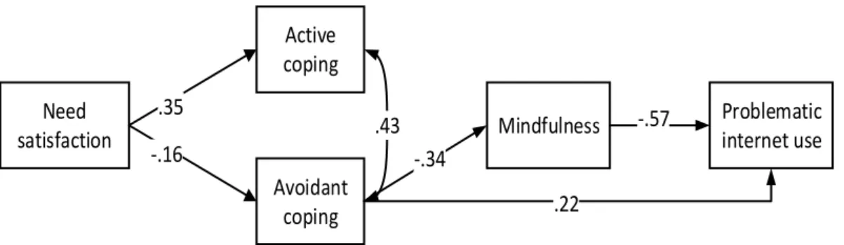 Figure 1. The tested model controlling for gender differences   (not shown for sake of clarity)