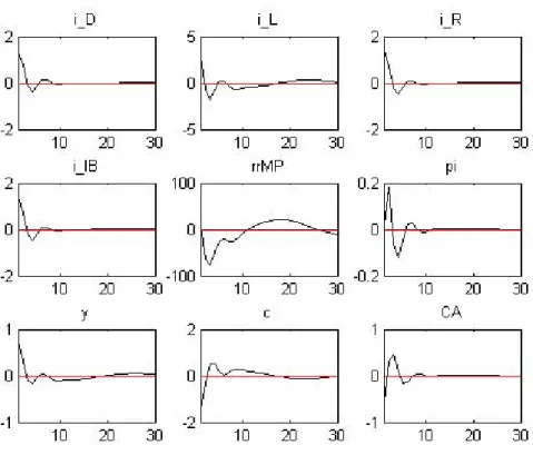 Figure 5.3: Monetary Policy Shock