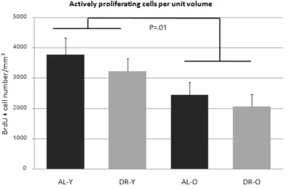 Figure 2.4: Rates of proliferation. Cell proliferation rates (+SE) across the te- te-lencephalon of age and treatment groups is reported