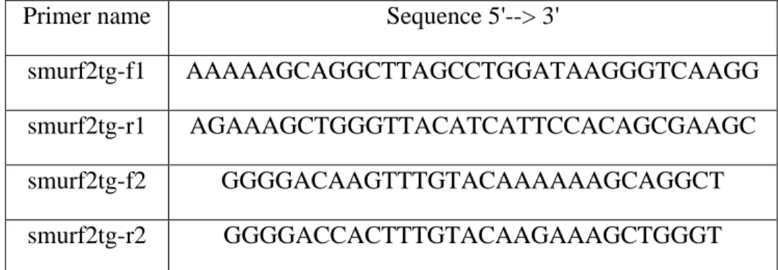 Table  2.7  Primer  sequences  for  PCR  to  add  attB  (recombination  sites)  to  Smurf2 coding sequence