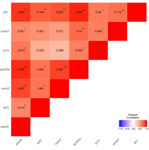 Figure  3.9  Pearson  correlation  matrix  of  genes  of  interest  in  whole  zebrafish  brain
