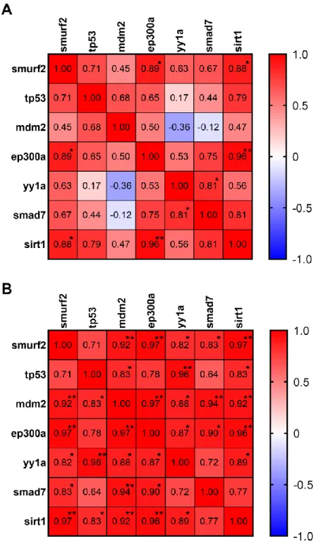 Figure  3.10  Pearson  correlation  matrices  of  genes  of  interest  in  (A)  young  and  (B)  old whole zebrafish brain