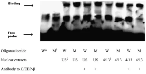 Figure 3 Custom designed C/EBP transcription factor ELISA.