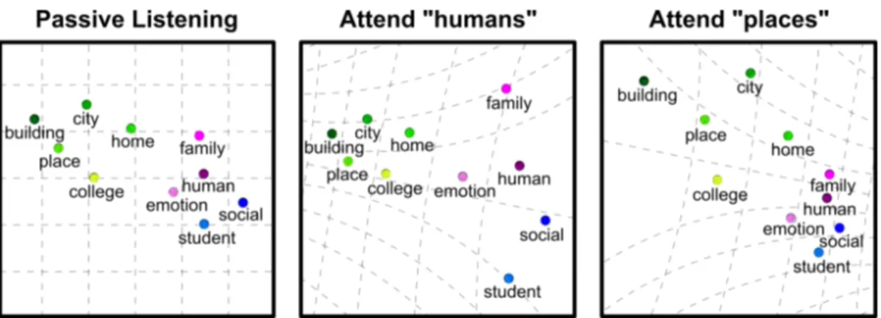 Figure 2.1: Attention warps semantic representation of words in favor of attended categories