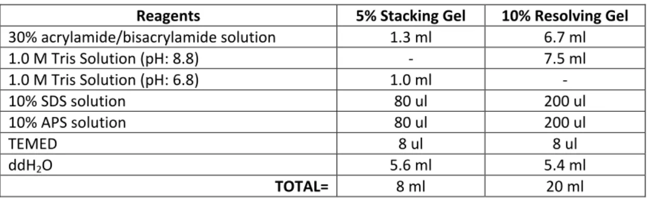 Table 2.8 SDS Gel Formulation to Prepare two Gels 