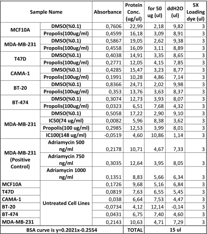Table 3.4 Absorbance and Protein Concentrations of Samples for Western Blot  Analysis