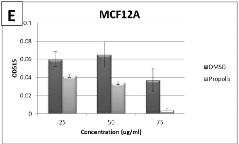 Figure 4-3: Cell proliferation of FOCUS (A), Huh7 (B), SK-LC (C), MDA-MB-231 (D)  and MCF12A (E) cell lines with increasing concentrations of Propolis-1 and DMSO