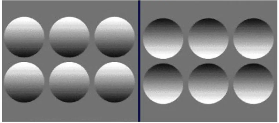 Figure 2.3. Highlights and shadows provide information about depth. The shadows   indicate that the left hand image is convex, whereas the right hand image appears  concave