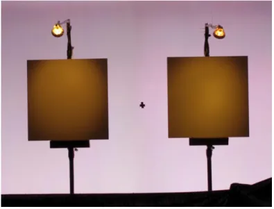 Figure 4.1. The stimuli with cool white lit background and gray objects. 