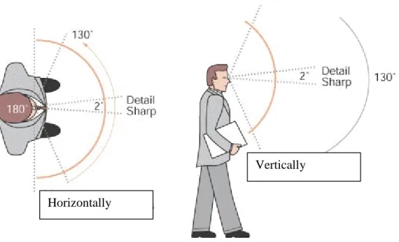 Figure 3.5. Binocular visual view profiles Horizontally 
