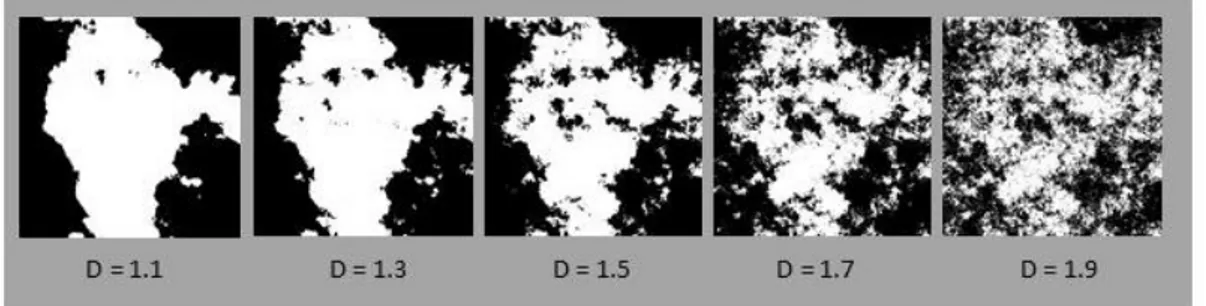 Figure 9. The five different complexity levels of fractal pattern used in the present  study 