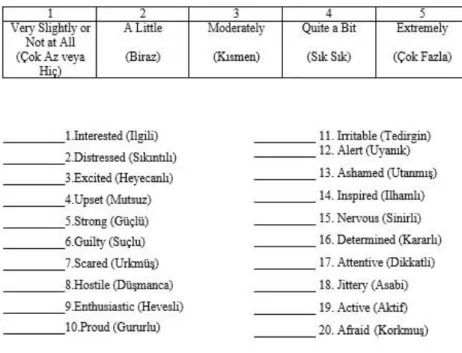 Figure 13: PANAS Mood Test 