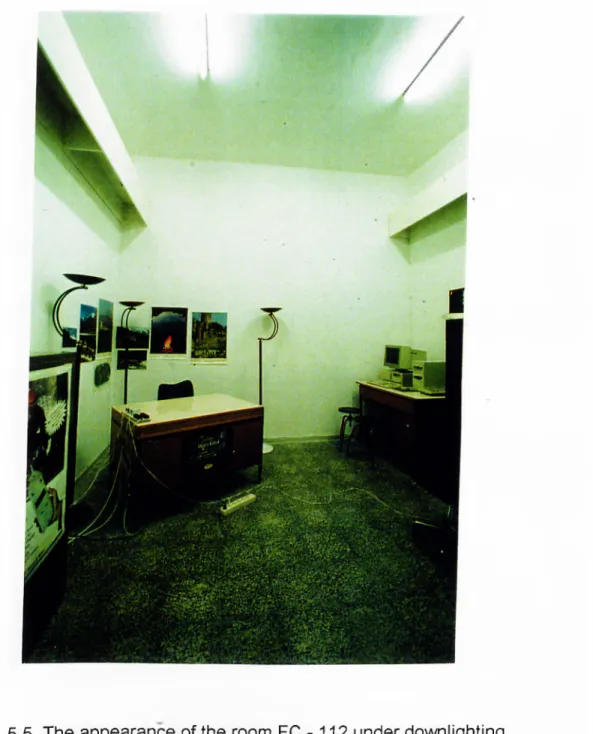 Fig.  5.5.  The appearance of the room  FC -112  under downlighting  fluorescent bulbs.
