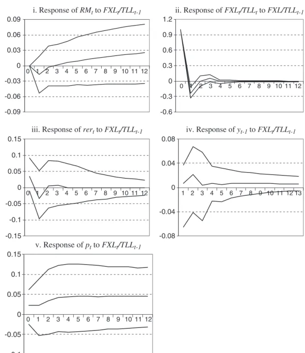 Fig. B3. Impulse response functions