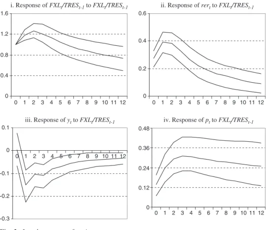 Fig. 5. Impulse response functions