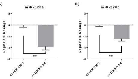 Figure 3.1: RT-qPCR confirmations of the downregulation of mir-376a (A) and miR-376c (B) in the scramble  or siRNA-1 treated MCF7 cells (n=5), **: p-value ≤ 0.01