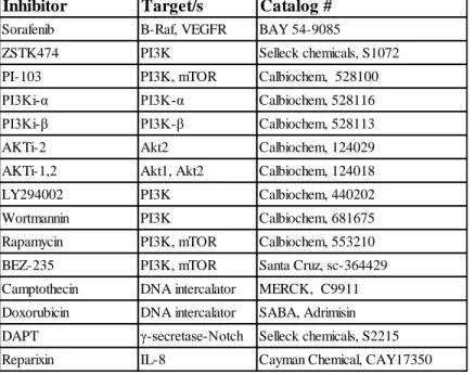 Table 3.2. Inhibitors and DNA intercalators used in the first part of the thesis.  