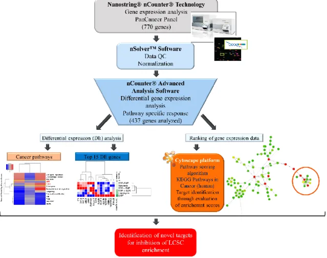 Figure  4.1.  Flowchart  representing  steps  followed  to  analyze  the  differential  expression  data  and  integrate  it  into  the  pathway  scoring  algorithm