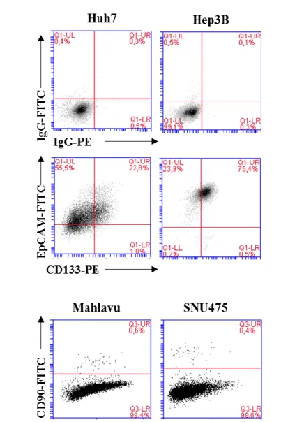 Figure  4.2.  Expression  of  cancer  stem  cell  markers.  Representative  figures  show  expression of CD133, EpCAM in epithelial-like (Huh7 and Hep3B) and CD90 expression  in mesenchymal-like (Mahlavu and SNU475) HCC cell lines