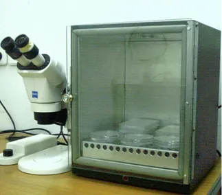 Fig. 3.3 Zeiss microscope and incubator at 28.5 °C.  