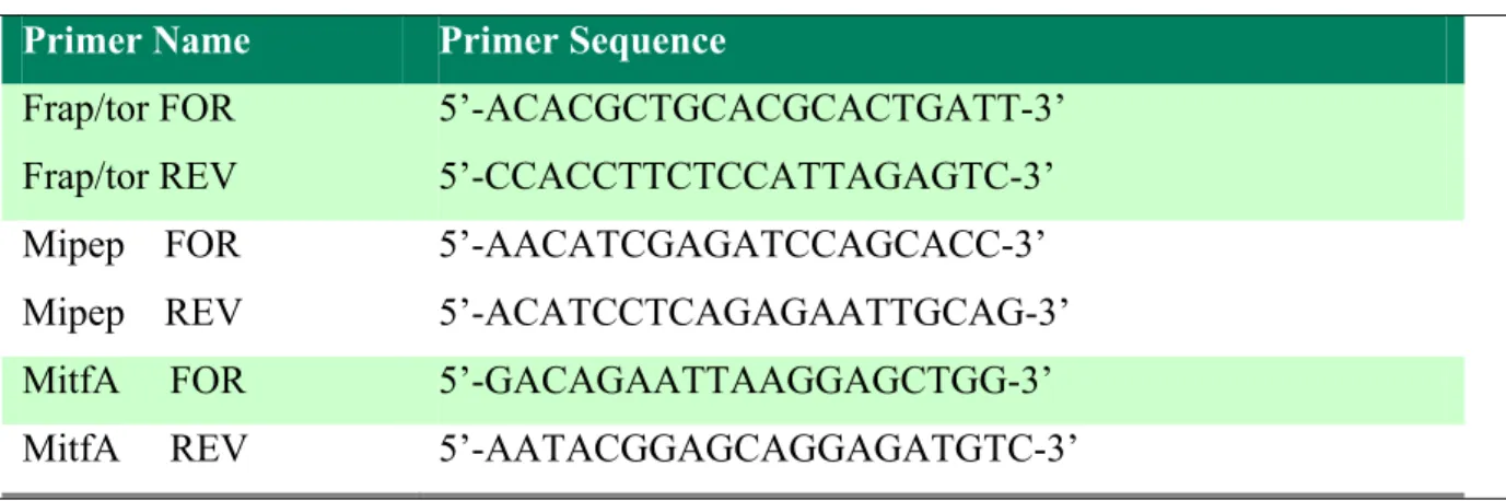 Table 3.2 Forward and reverse primer sets used to amplify the genes mentioned in the study