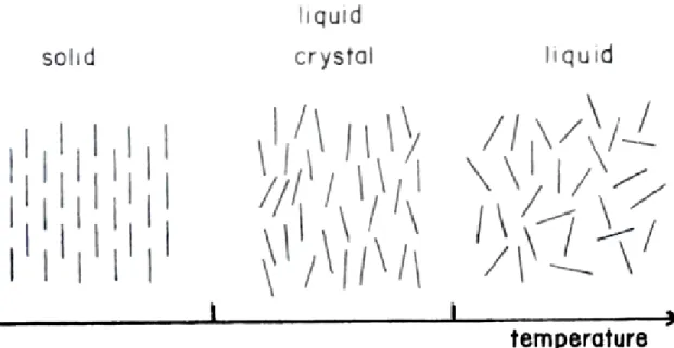 Figure 1.4. Representative phase transition, from solid to liquid crystal and then to liquid  phase