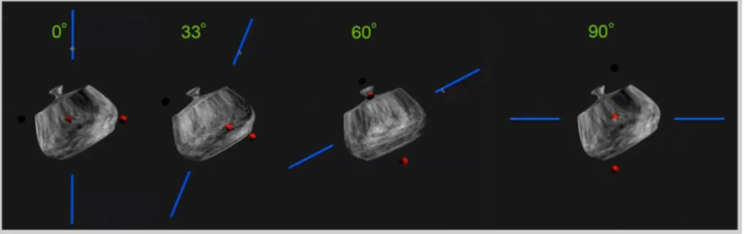 Figure 11. Experiment 3 stimuli. Stimuli were the shiny and textured (sticky reflections) versions of a pot 