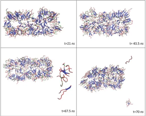 Fig. 11 Snapshots of PA3 nano ﬁber at 338 K; while the structure was generally stable, small peptide fragments were observed to leave the peptide structure towards the end of the simulation period.