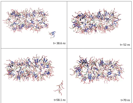 Fig. 10 Snapshots of the PA2 nano ﬁber at 358 K. The structure was generally able to retain its structural integrity, although slight ﬂuctuations existed around 48 ns.