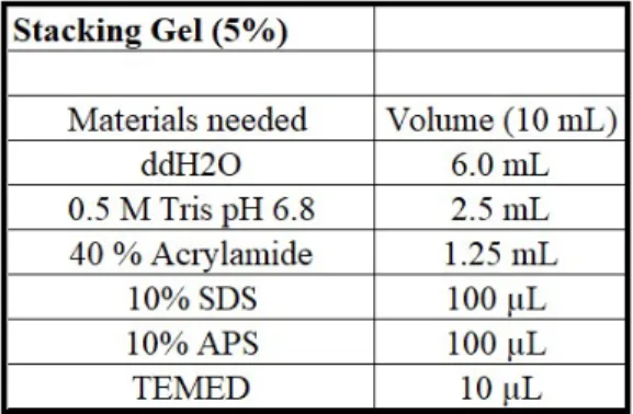 Table 2.8: Stacking Gel Recipe for 5% concentration