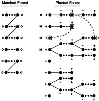 Figure  3.1:  Marking  trees,  where augmenting  paths  are  found