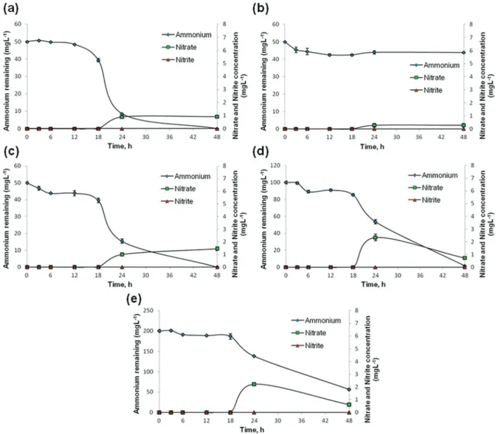 Fig. 4 Ammonium, nitrite and nitrate levels for: (a) free STB1 cells at the initial ammonium concentration of 50 mg L −1 ; (b) bacteria-free CA web at the initial ammonium concentration of 50 mg L −1 ; (c) STB1 immobilized CA web at the initial ammonium co