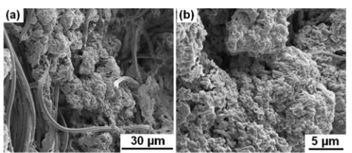 Fig. 6 SEM micrographs of the STB1 immobilized CA web after the reusability tests, showing robust attachment of bacterial bio ﬁlms on nanoﬁber surfaces at (a) 2500× and (b) 10 000× magni ﬁcation.