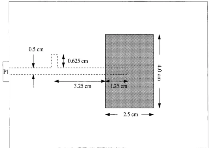 Figure 12. Geometry of the proximity-coupled microstrip antenna showing the input port Ž not to scale ..