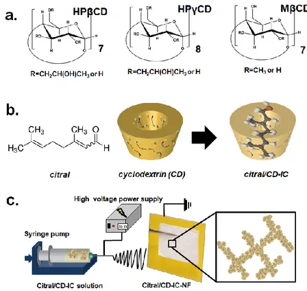 Figure 1. (a) The chemical structure  of HPβCD, HPγCD, and  MβCD, (b) the chemical structure of  citral and the schematic representation of citral/cyclodextrin (CD) and citral/CD-IC, (c) the schematic  representation of electrospinning of nanofibers from a