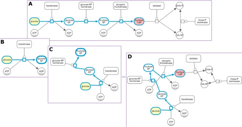 Fig 3. Losing mental map on unhide operations. In a map with a certain path of interest highlighted for analysis (A), processes currently out of focus are hidden to reduce complexity (B); subsequent unhide operations reveal hidden processes gradually, but 