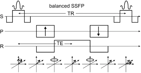 Figure 2.3: Visualisation of the magnetization evolution and balanced gradients in bSSFP sequence