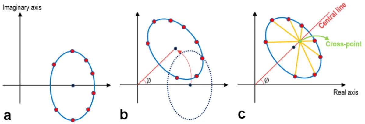Figure 3.1: (a) The complex-valued base bSSFP signal S base following the RF ex- ex-citation defines a vertically-oriented ellipse