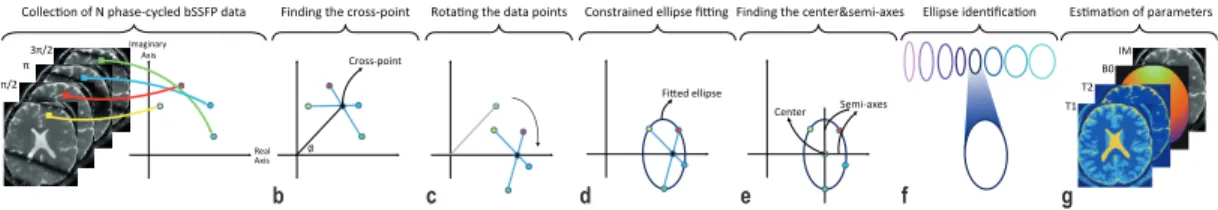 Figure 3.2: Flowchart of the proposed constrained ellipse fitting (CELF) ap- ap-proach