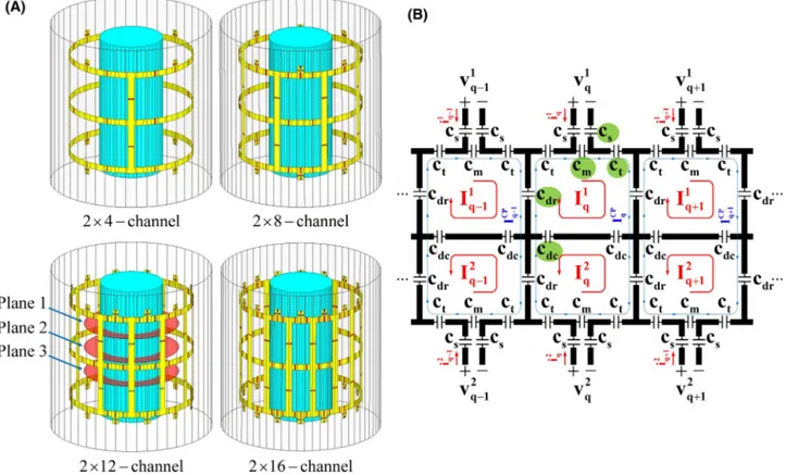 FIGURE 1  (A) EM simulation models, and (B) general schematic of dual-row degenerate birdcage TxArray coils