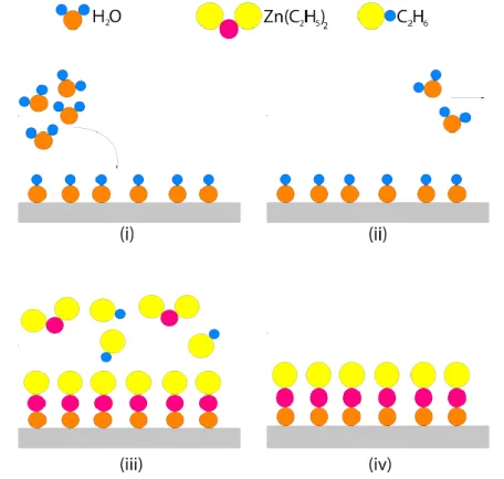 Figure 3.3 Step by step demonstration of one ALD cycle of ZnO growth 