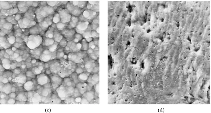 Figure 4. SEM photographs (1000 magnification) of (a) unwashed PPy/PMMA-co-PEMA-7 solution side, (b) unwashed PPy/PMMA-co-PEMA-7 electrode size, (c) washed PPy/PMMA-co-PEMA-7 solution side, (d) washed PPy/PMMA-co-PEMA-7 electrode side.
